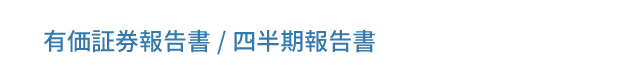 有価証券報告書/四半期報告書