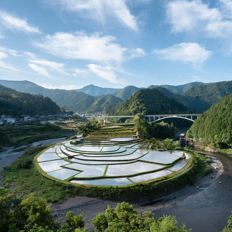 和歌山