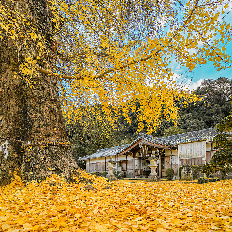 和歌山